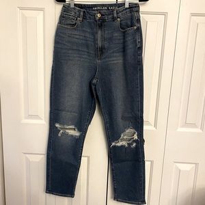 American Eagle Curvy Mom Jean